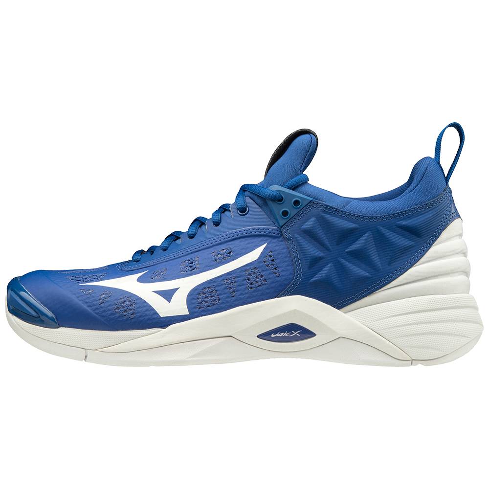 Sapatilhas Voleibol Mizuno Wave Momentum - Homem - Azuis/Branco - BHEKS8210